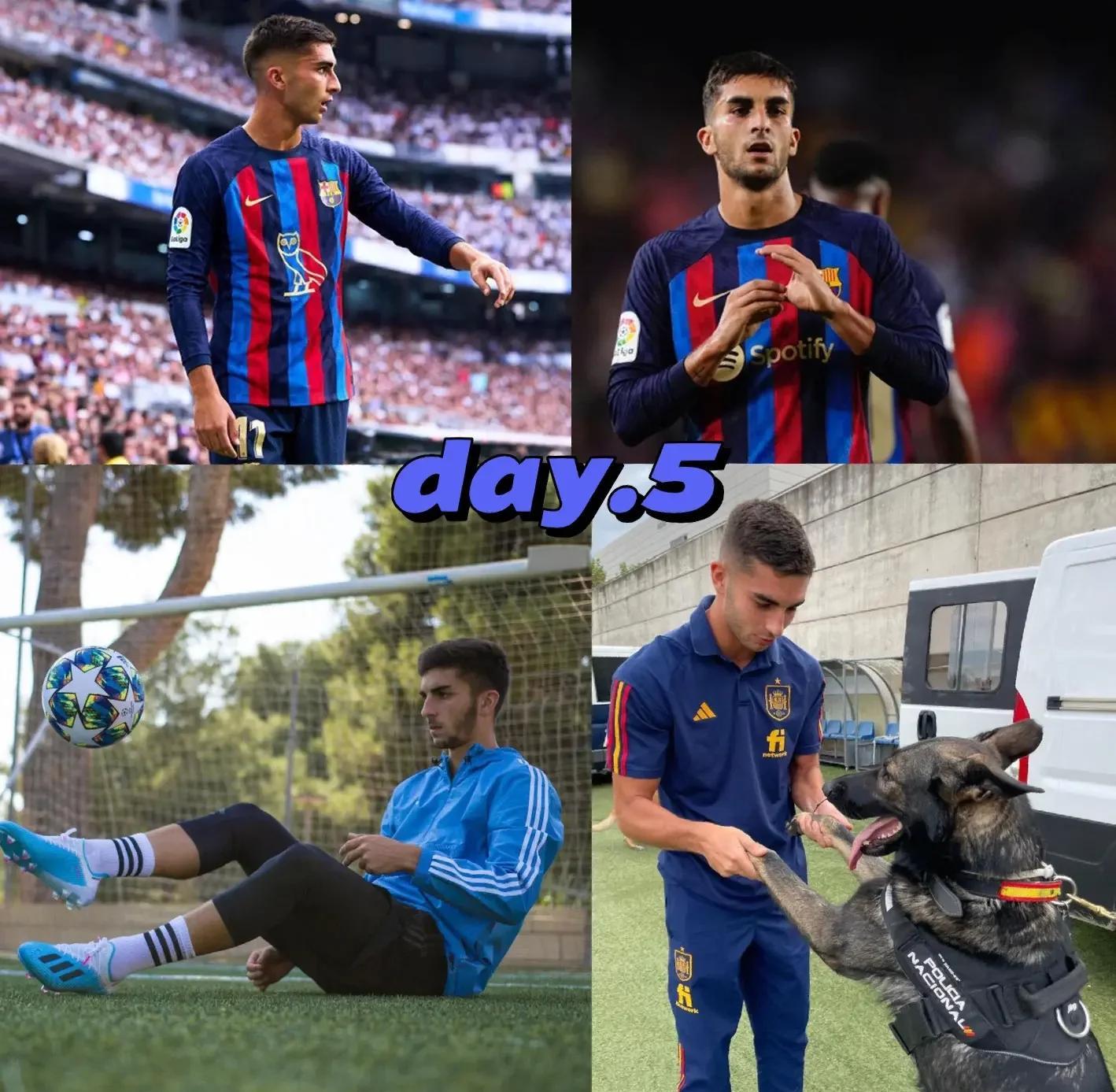 开云体育下载-波兰完胜英格兰，托雷斯爆发神勇的简单介绍