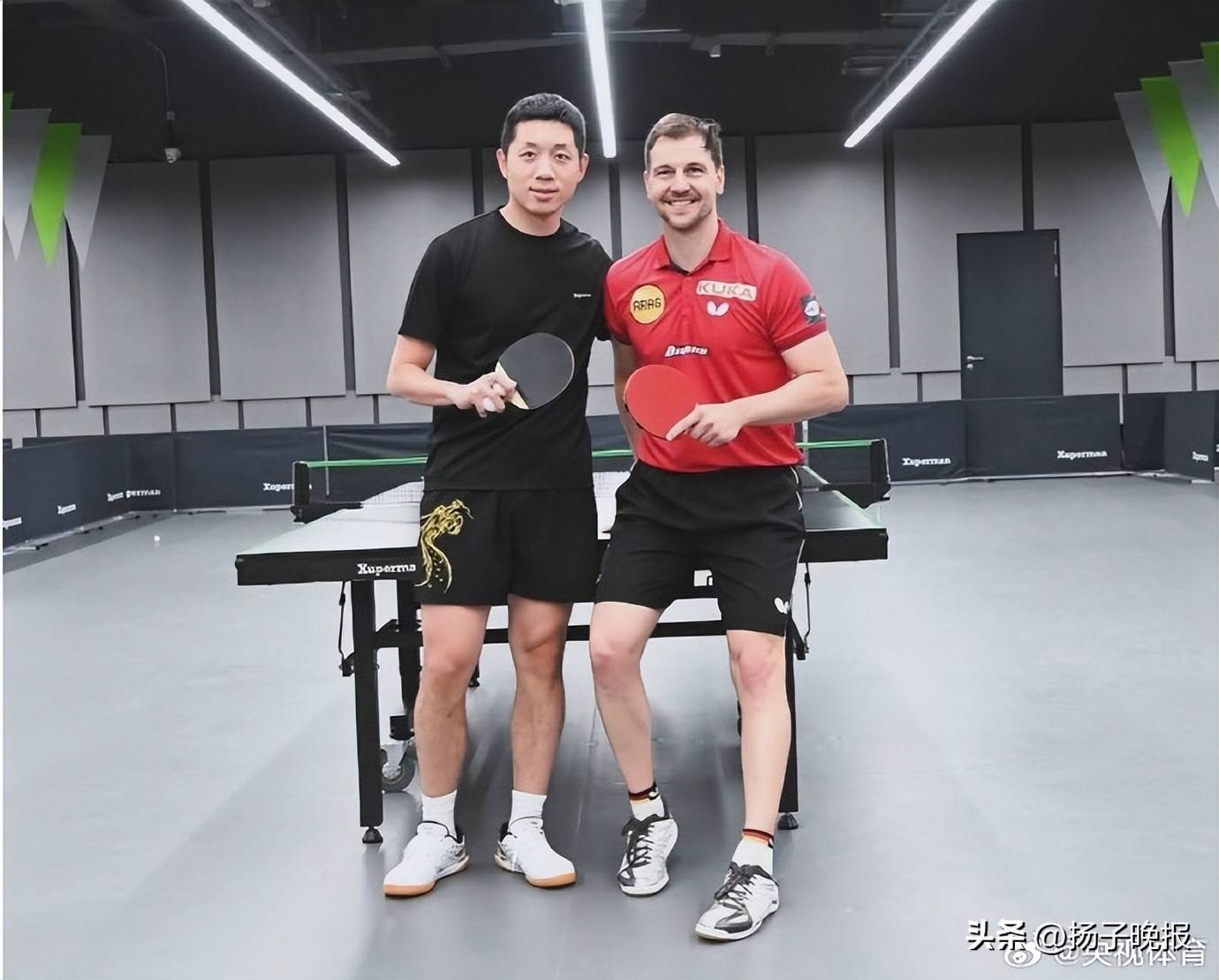 波兰乒乓球队鏖战比利时乒乓球队,波尔制霸全场 波兰乒乓球队鏖战比利时乒乓球队,波尔制霸全场