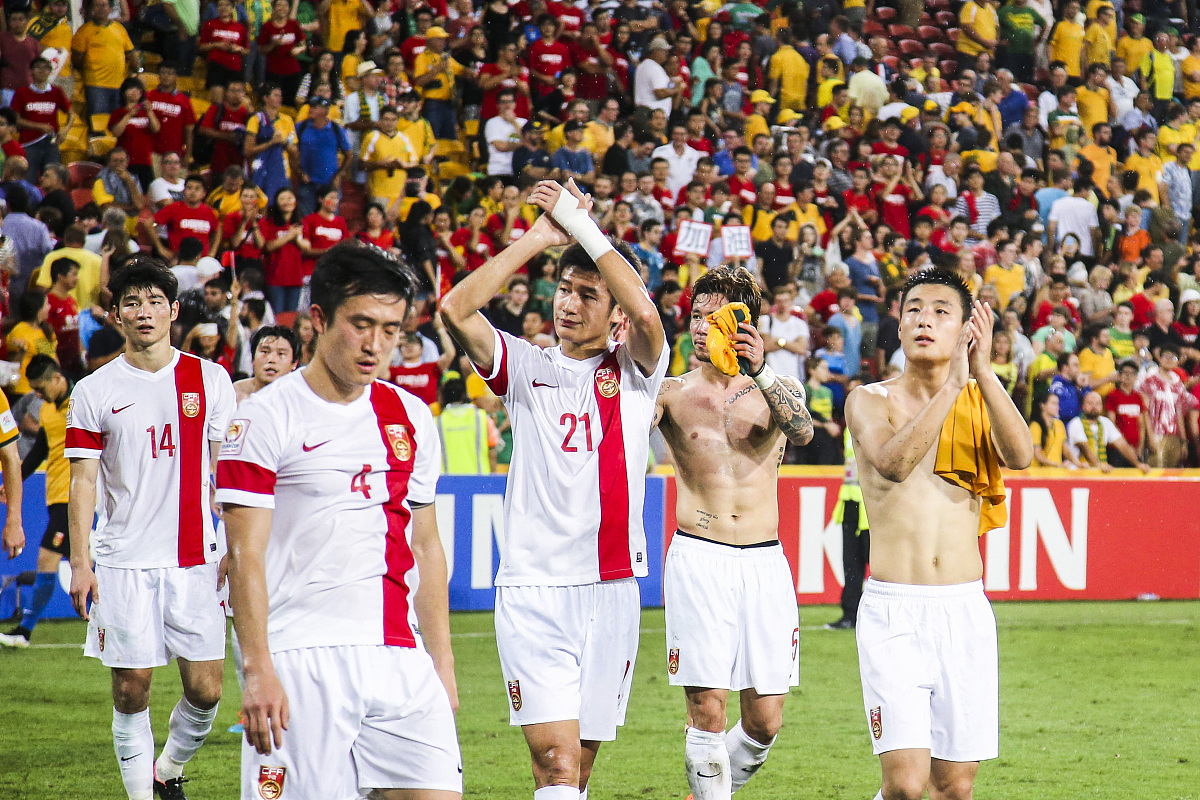 绿茵场上，谁将夺得胜利之花的简单介绍